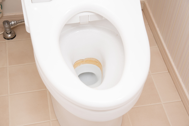 トイレ掃除