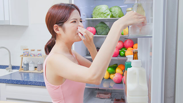 【解決！】冷蔵庫がカビ臭い！？ 簡単カビ取り掃除方法＆予防方法まとめ